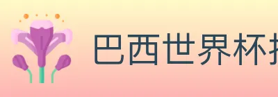 巴西世界杯投注入口 logo